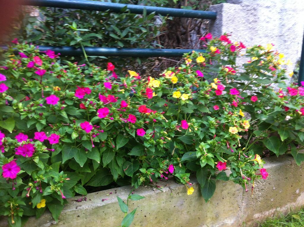 Guesthouse Liska Mostar Exterior foto